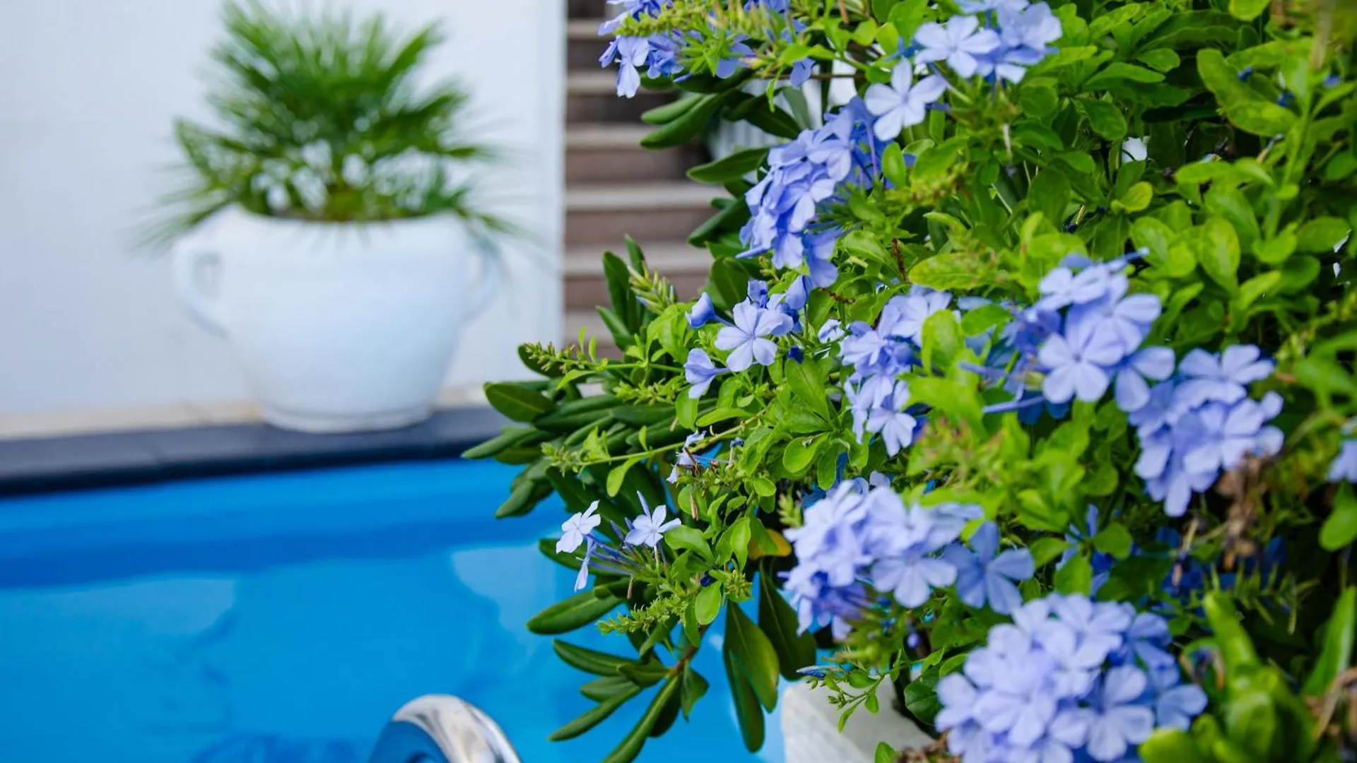 Villa Danijela With Heated Pool,Jacuzzi And Sauna Seget Vranjica